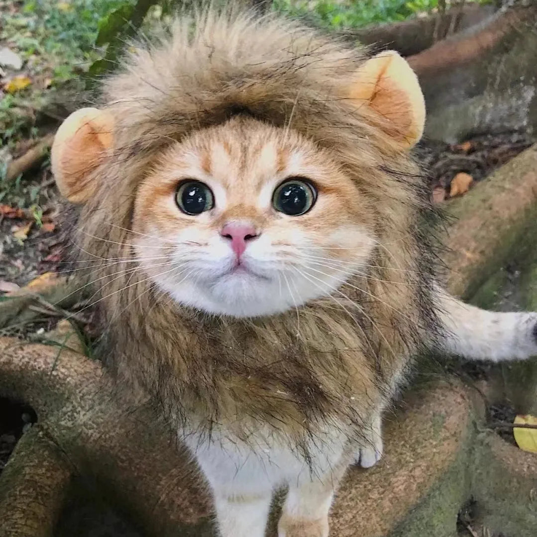 Lion Mane Wig Hat for Dogs and Cats - Smarsty