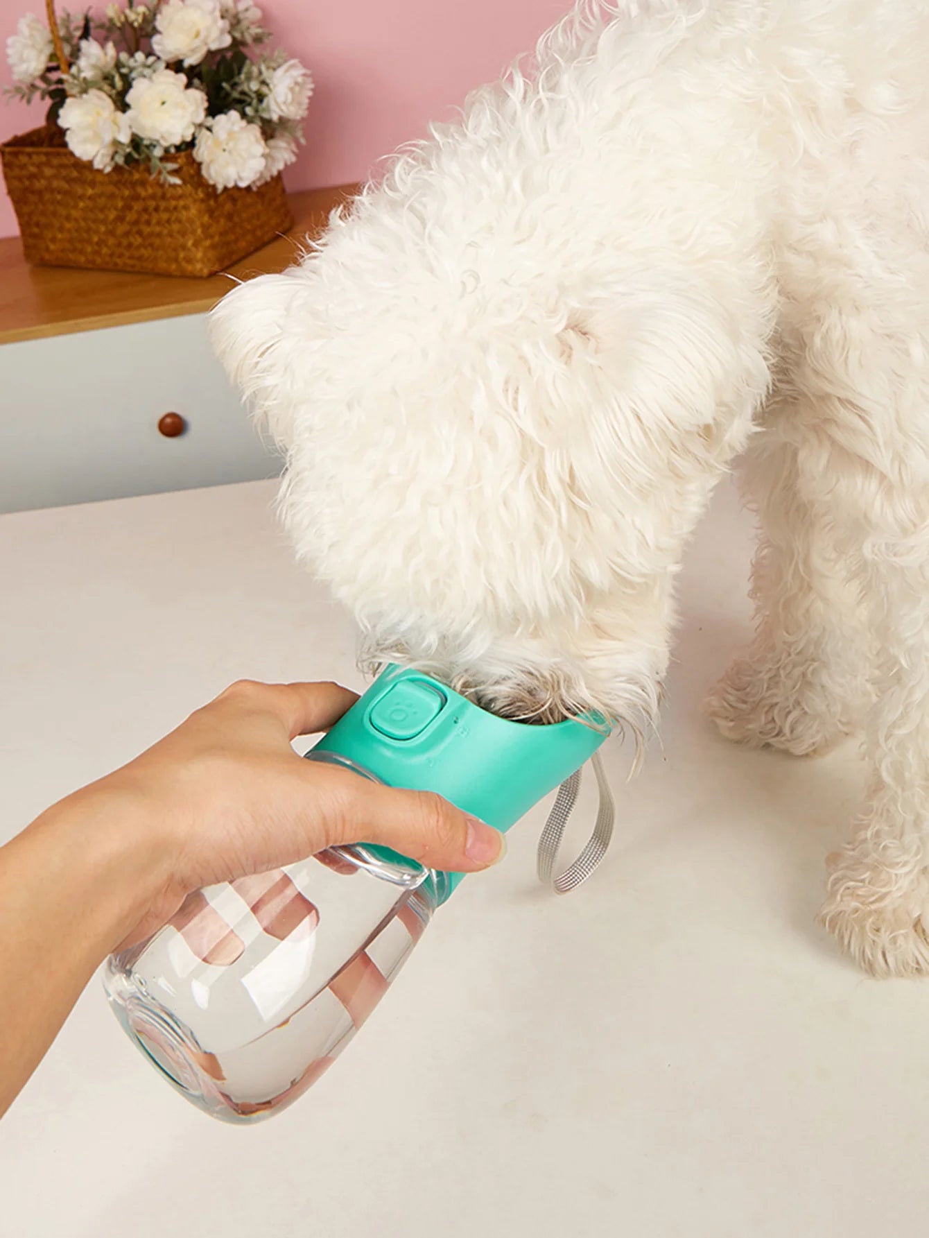 Portable Leakproof Dog Water Bottle for Hiking - Smarsty