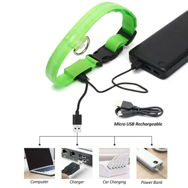 LED Glowing Dog Collar Adjustable Rechargeable Night Safety - Smarsty