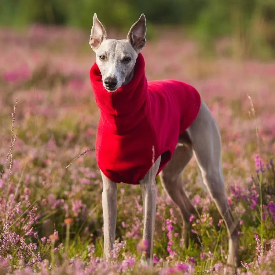 Winter Fleece Dog Vest for Italian Greyhounds - Smarsty