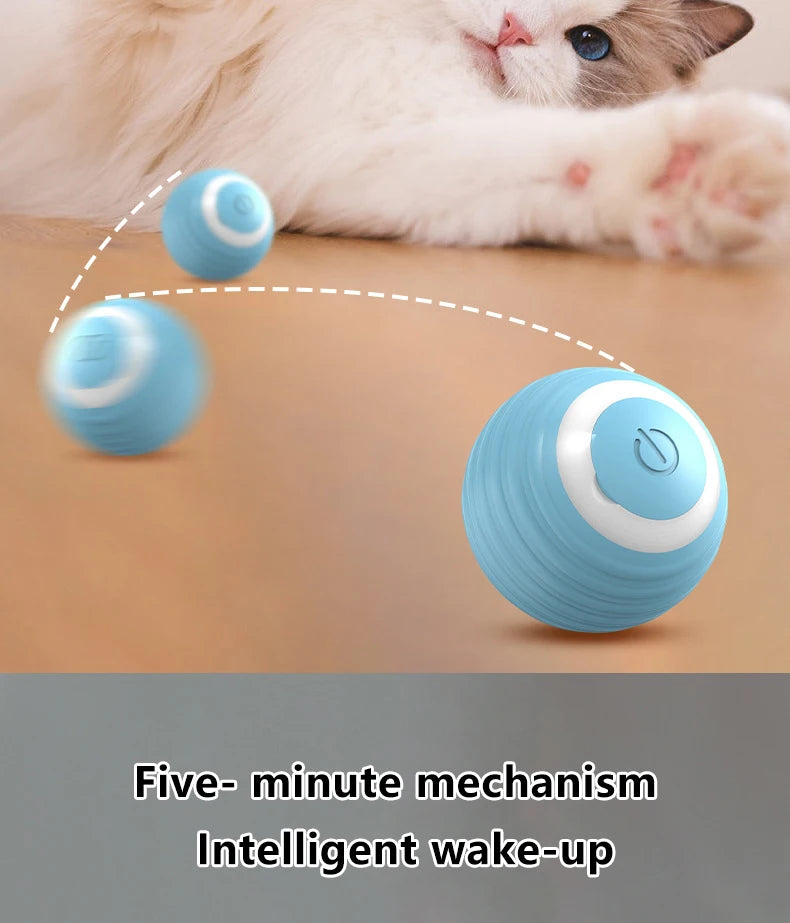 Smart Interactive Cat Balls for Engaging Indoor Play - Smarsty