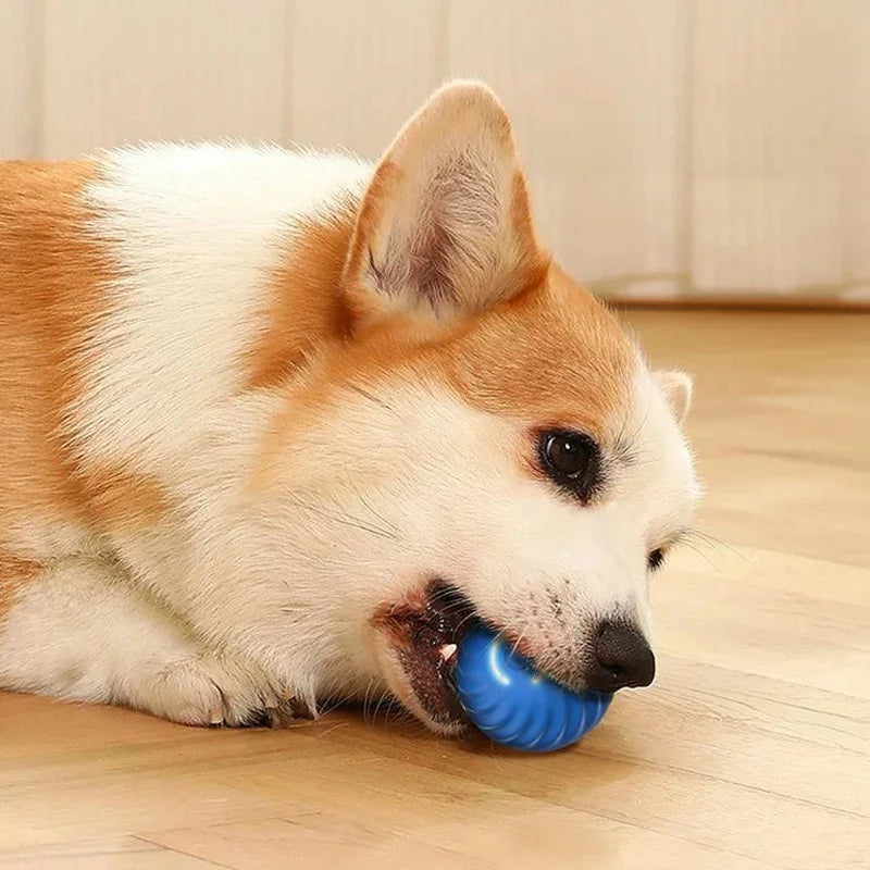 Interactive Smart Dog Toy Ball for Active Play - Smarsty