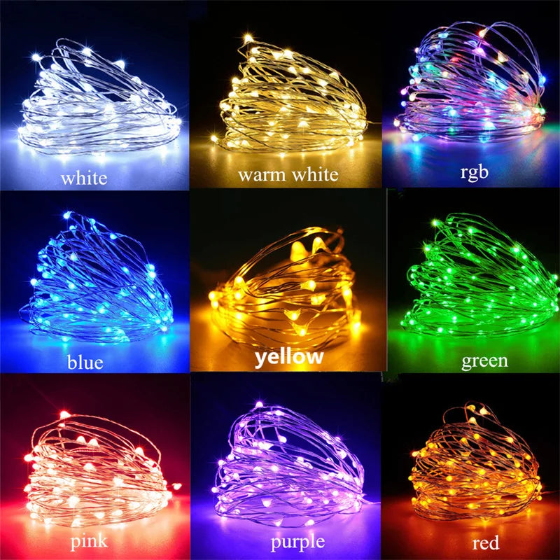 USB Led Fairy Lights Copper Wire String 20M 200LED Holiday Outdoor Lamp Garland For Christmas Tree Wedding Party Decoration - Smarsty