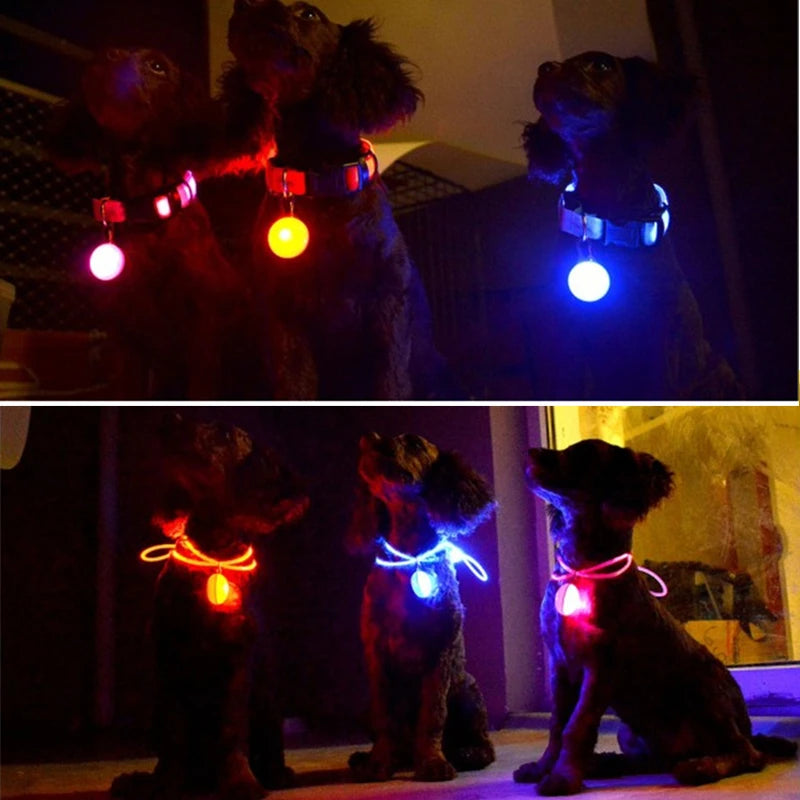 USB Charging Bright LED Dog Collar for Night Safety - Smarsty