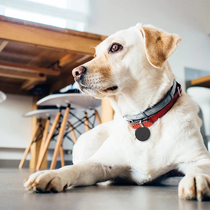 Mini GPS Tracker Anti-Lost Device for Pets and Kids - Smarsty