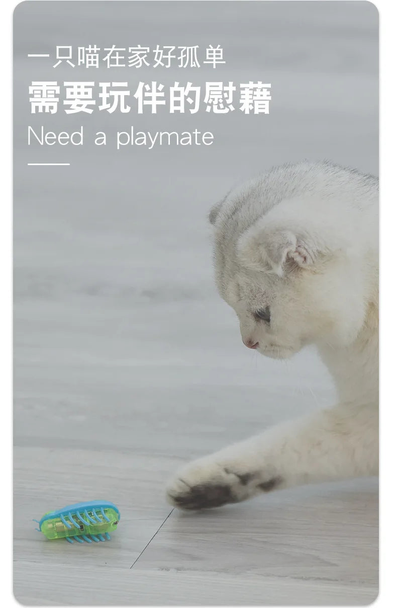 Interactive Electric Bug Cat Toy for Engaging Play - Smarsty