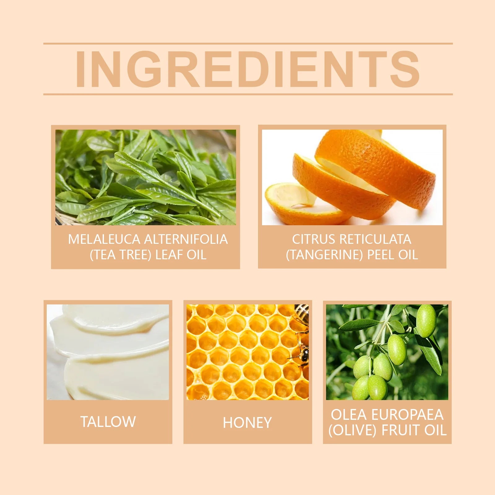Tallow Honey Cream Hydrating Moisturizer for Elasticity - Smarsty