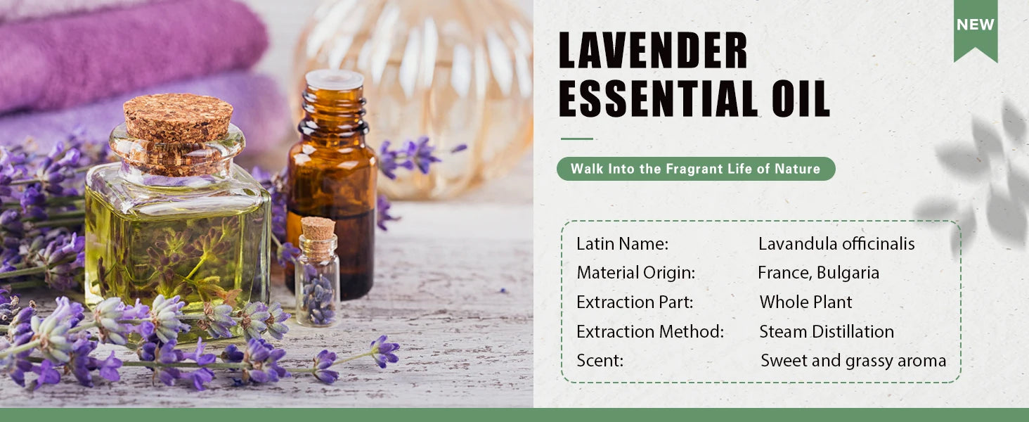 PHATOIL 100ml Essential Oil Set for Aromatherapy Diffusers - Smarsty