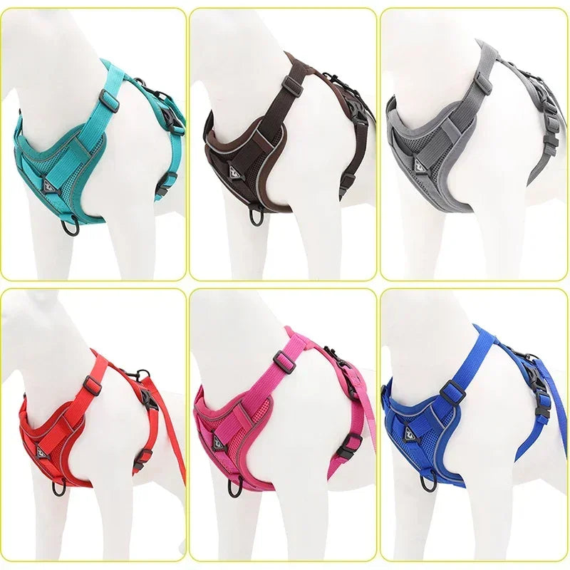 No Pull Adjustable Dog Harness and Leash Set - Smarsty