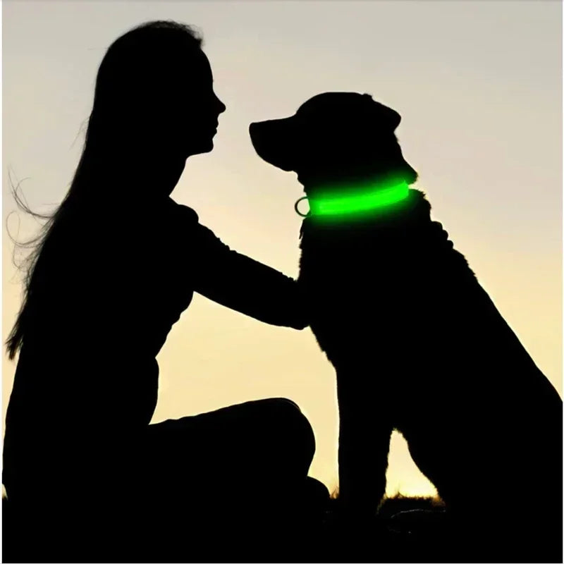 LED Glowing Dog Collar Adjustable Rechargeable Night Safety - Smarsty