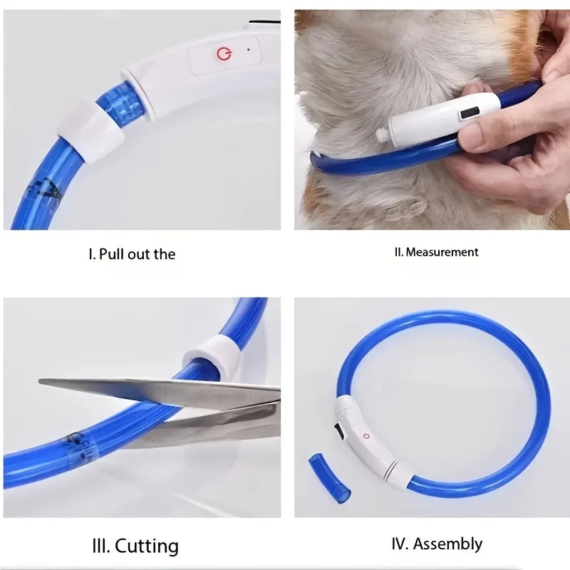 USB Rechargeable LED Dog Collar for Safety - Smarsty