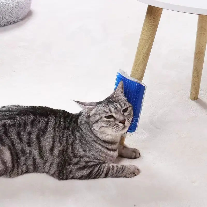Cat Massage Tool Pet Hair Removal Massage Comb Wall Corner Self Cleaning Rubbing Brush Cats Toys Pet Beauty Supplies