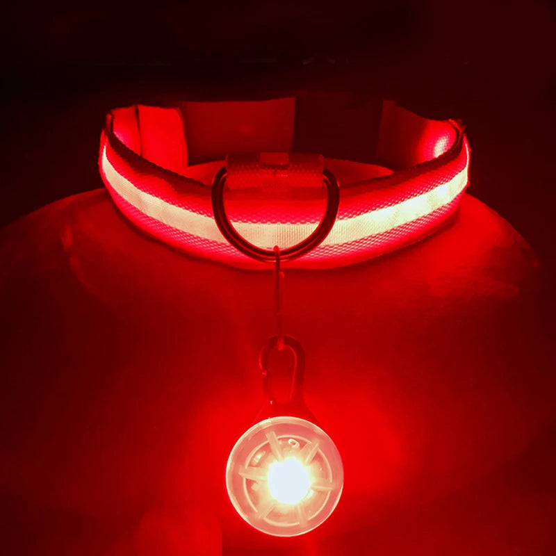 USB Charging Bright LED Dog Collar for Night Safety - Smarsty