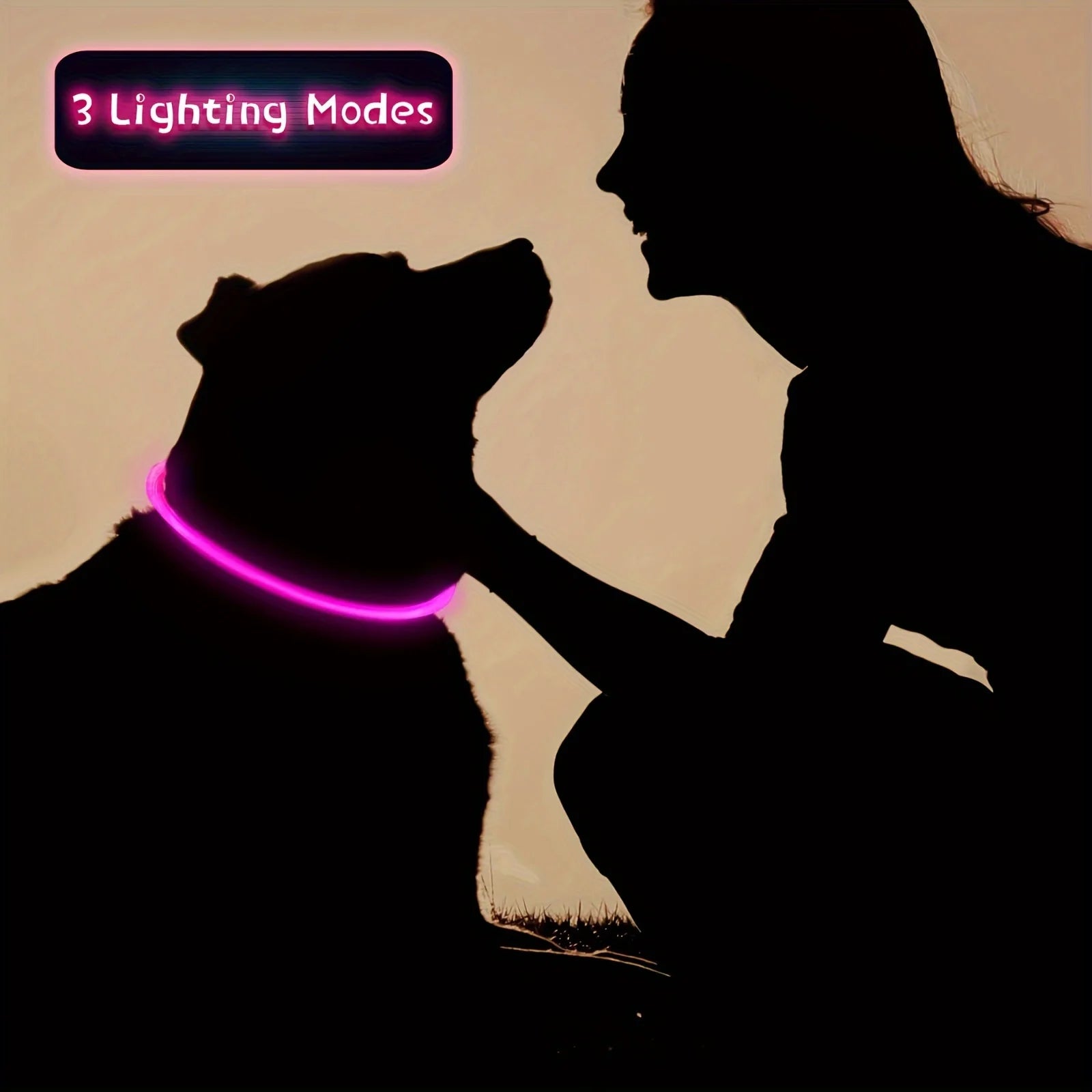 USB Rechargeable LED Dog Collar for Safety - Smarsty