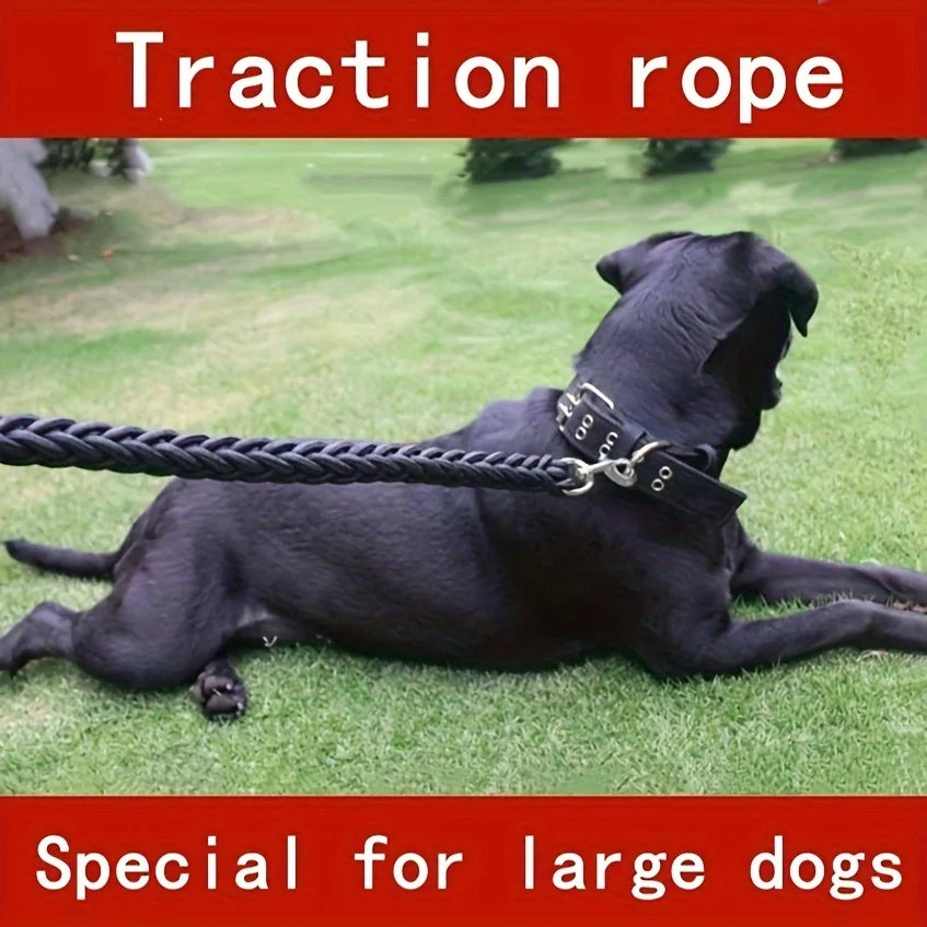 Comfort-Strong 5-Foot Braided Dog Leash for Training - Smarsty
