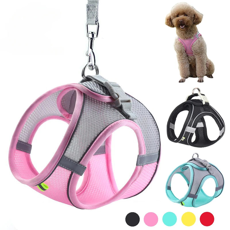 Adjustable Puppy Harness Set with Leash for Small Dogs - Smarsty