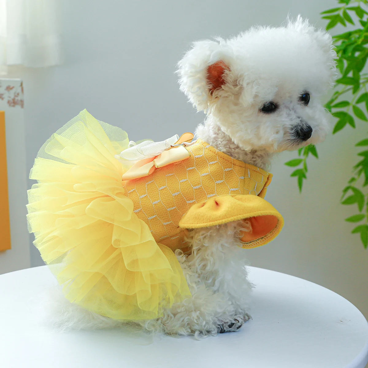Yellow Flying Sleeve Dog Princess Dress for Autumn Winter - Smarsty