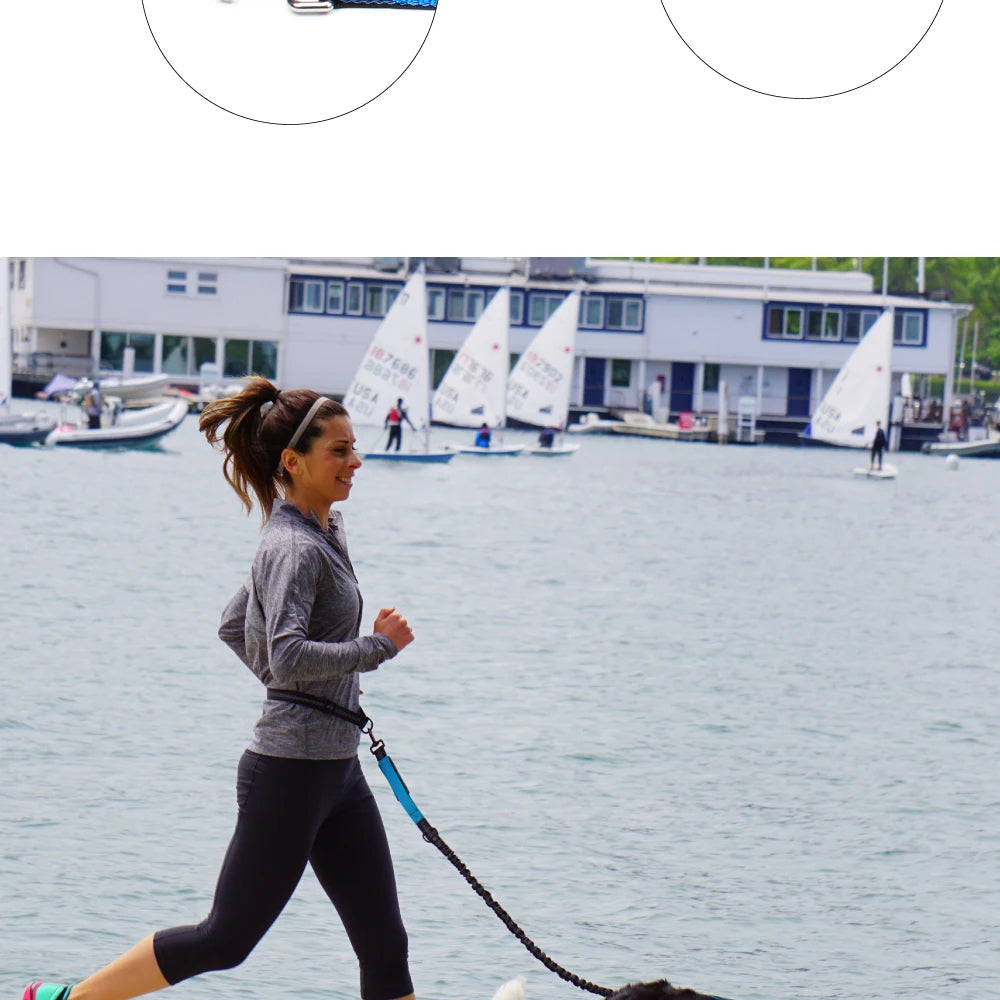 Hands Free Dog Leash for Jogging and Walking - Smarsty