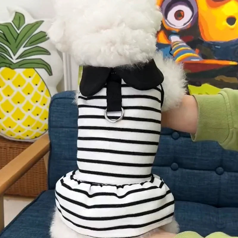 Luxury Dog Dress With Bow Lace For Summer - Smarsty