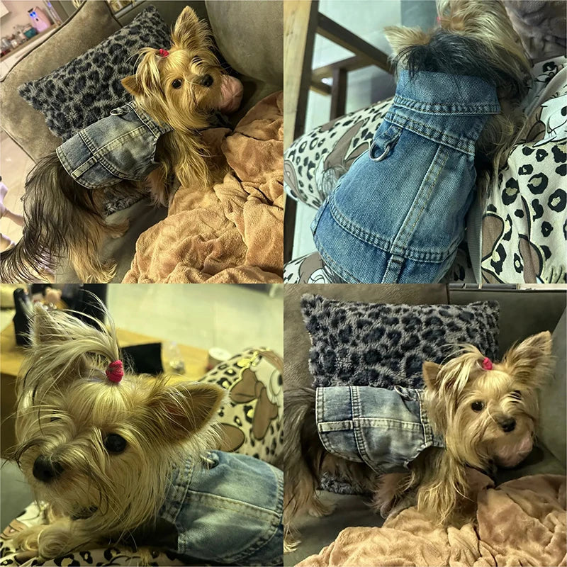 Dog Jeans Jacket for Small Dogs and Cats - Smarsty
