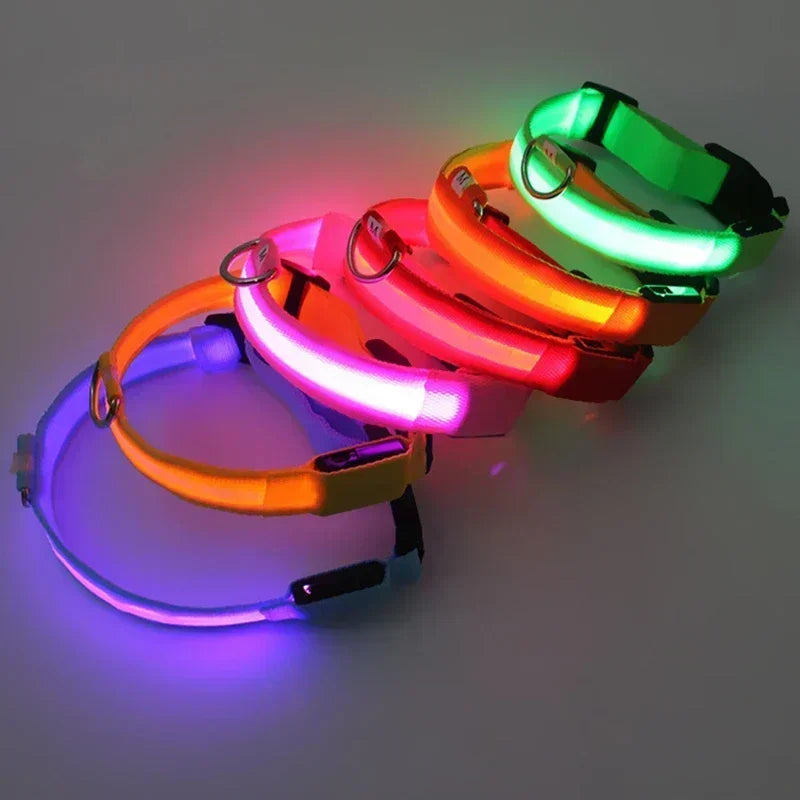 LED Glowing Dog Collar Adjustable Rechargeable Night Safety - Smarsty