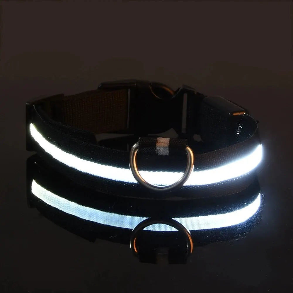 Nylon LED Glow In The Dark Dog Leash - Smarsty