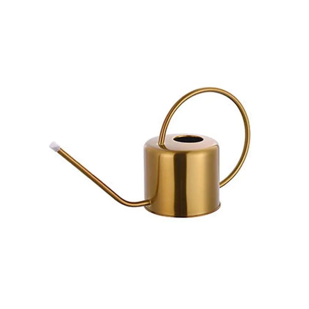 Rustproof Leakproof Stainless Steel Watering Can with Long Nozzle - Smarsty