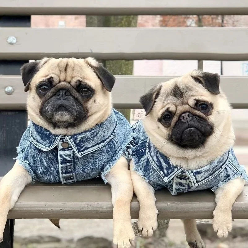 Denim Dog Jacket with Stylish Holes for All Seasons - Smarsty
