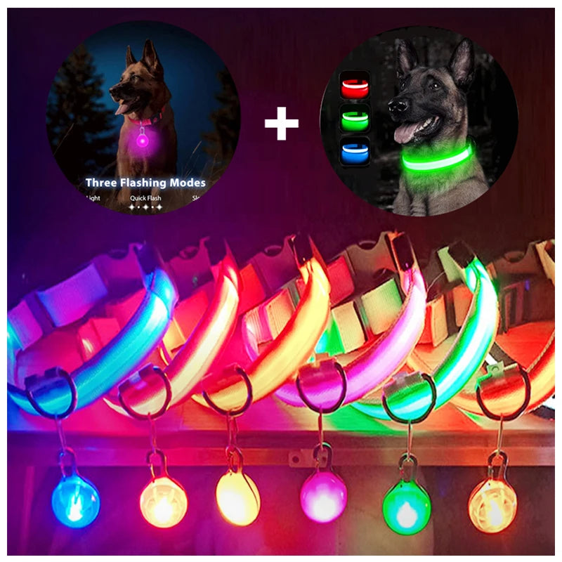 USB Charging Bright LED Dog Collar for Night Safety - Smarsty