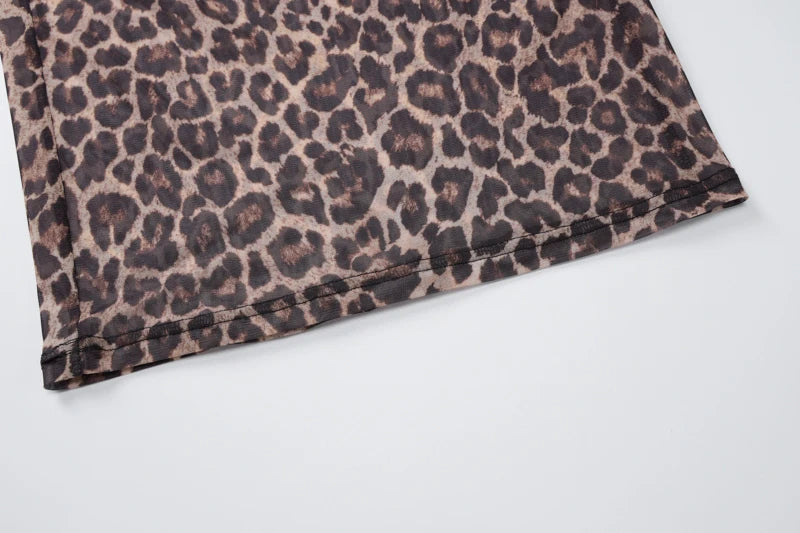 Hugcitar Leopard Print Mesh Long Sleeve Sexy Slim See Through Maxi Dress Fall Women Fashion Outfits Beach Vacation Club