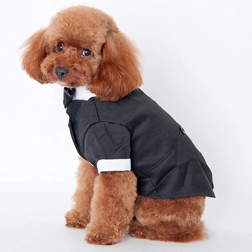Elegant Dog Tuxedo Suit for Weddings and Parties - Smarsty