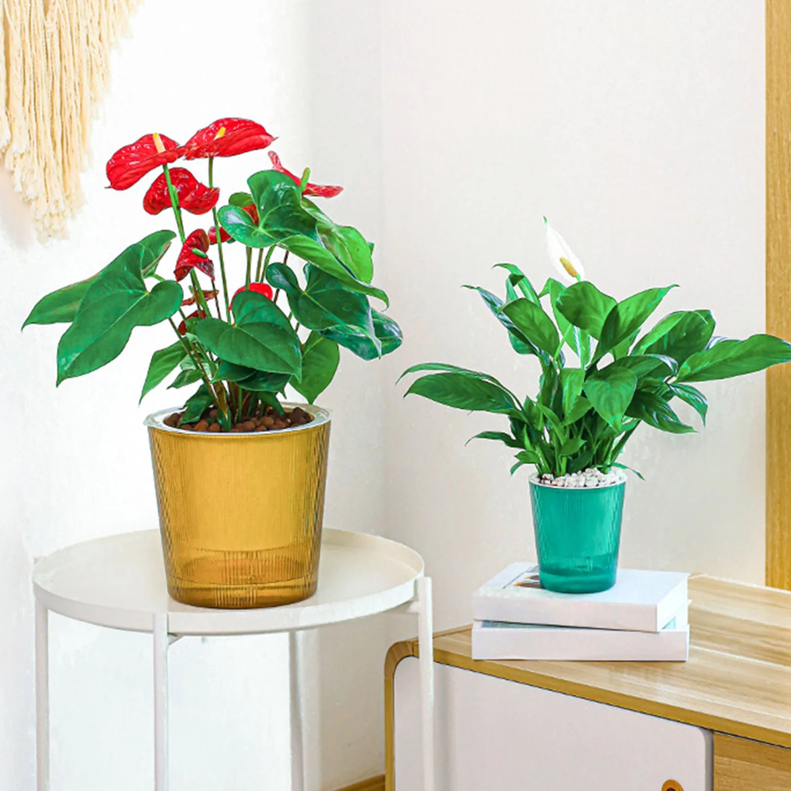Water-Absorbing Plant Flower Pots Modern Style Transparent Plants Flowers Pots for Garden Enthusiast Lover Gift