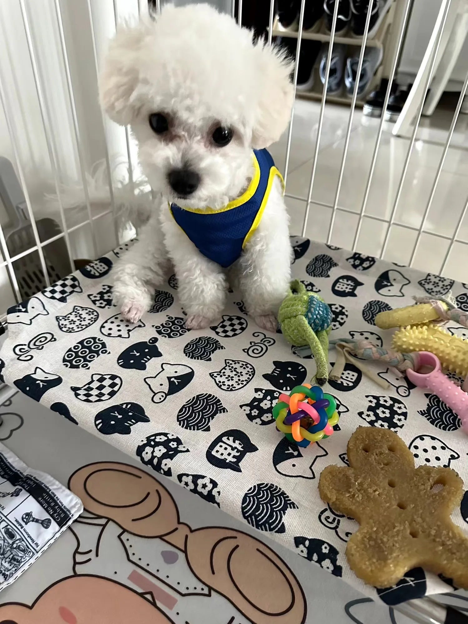 Portable Elevated Dog Bed with Washable Fabric - Smarsty
