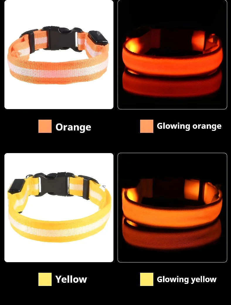 LED Nylon Dog Collar for Night Safety and Visibility - Smarsty