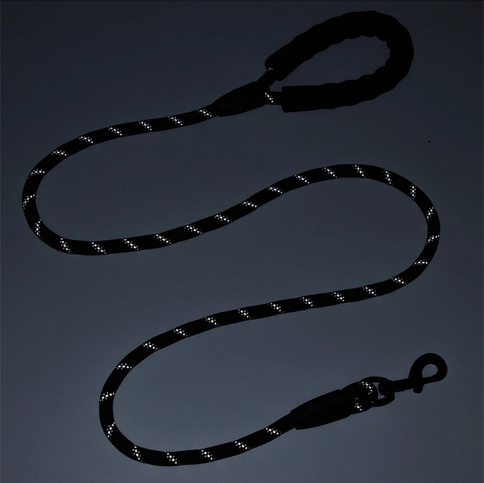 Nylon Reflective Dog Leash with Comfortable Handle - Smarsty