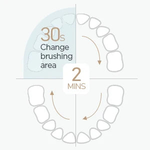 Fairywill Electric Sonic Toothbrush with USB Charging - Smarsty