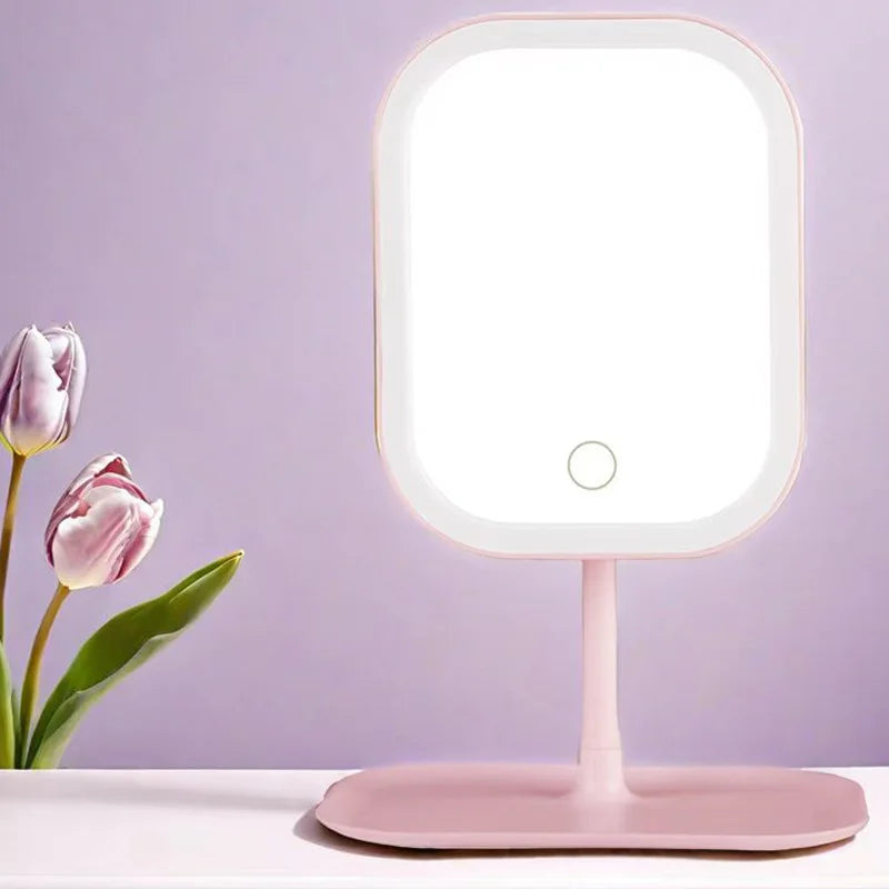 Niche Modern LED Makeup Mirror with Three Color Light - Smarsty
