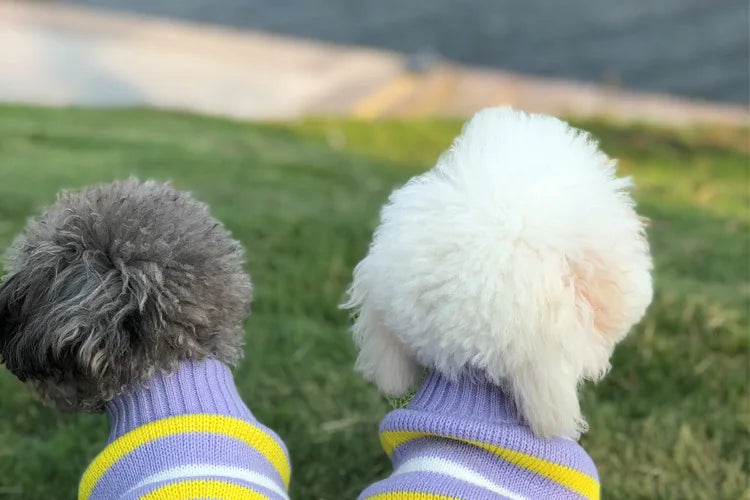 Warm Dog Coat for Small Dogs Winter Jacket - Smarsty