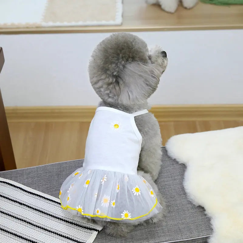 Cute Summer Dog Dress for Small Dogs - Smarsty
