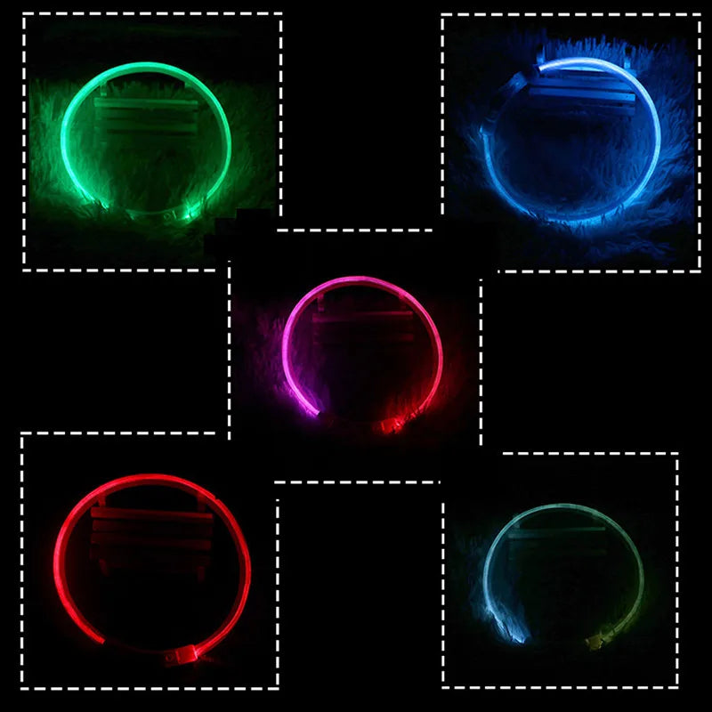 LED USB Dog Collar for Night Safety and Visibility - Smarsty