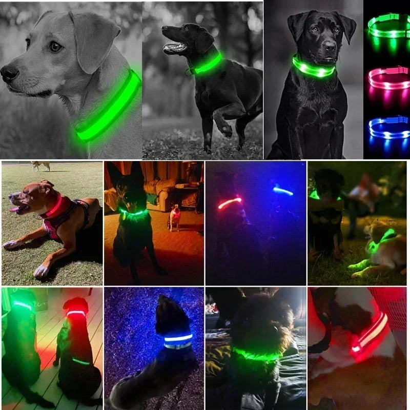 LED Glowing Dog Collar Adjustable Rechargeable Night Safety - Smarsty