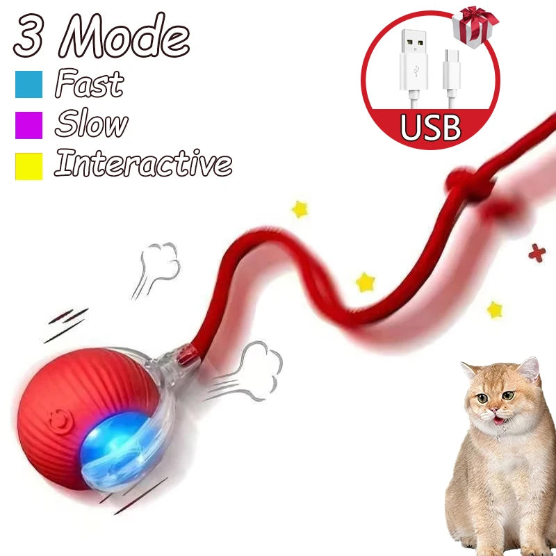 Rechargeable Cat Interactive Rolling Ball Toy Set - Smarsty
