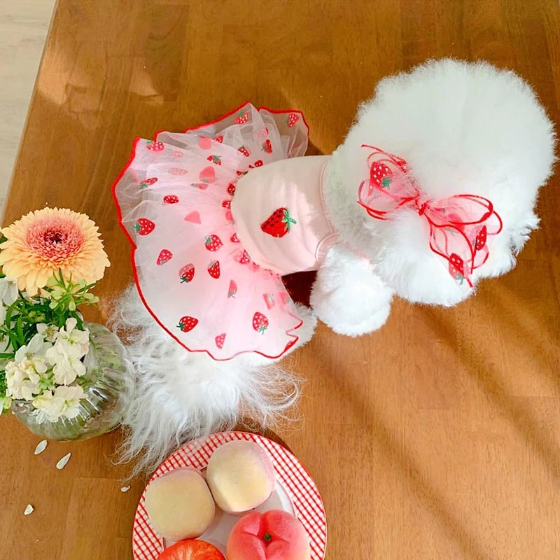 Luxury Strawberry Dog Dress for Spring and Summer - Smarsty