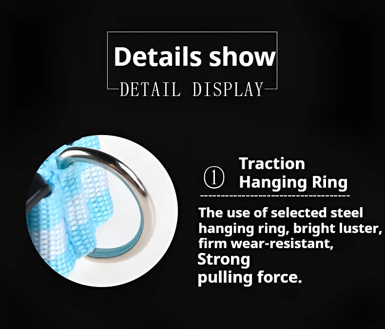 LED Nylon Dog Collar for Night Safety and Visibility - Smarsty