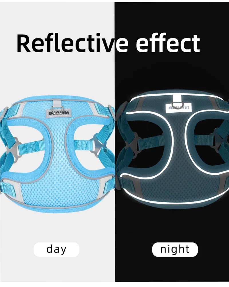 Reflective Dog Harness Leash Set for Outdoor Safety - Smarsty