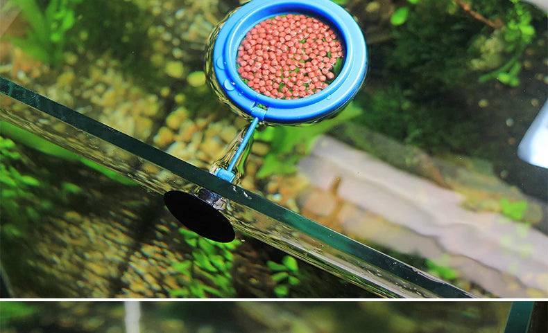 Portable Aquarium Fish Feeding Ring with Suction Cups - Smarsty