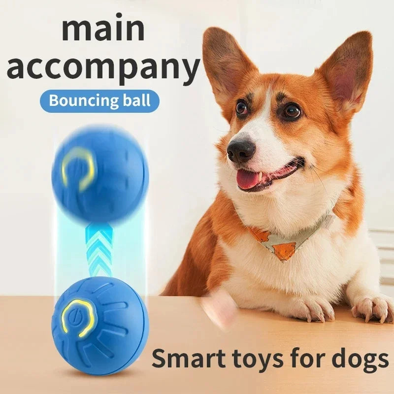 Interactive Smart Dog Toy Ball for Active Play - Smarsty