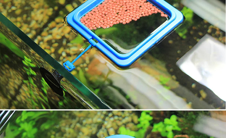 Portable Aquarium Fish Feeding Ring with Suction Cups - Smarsty