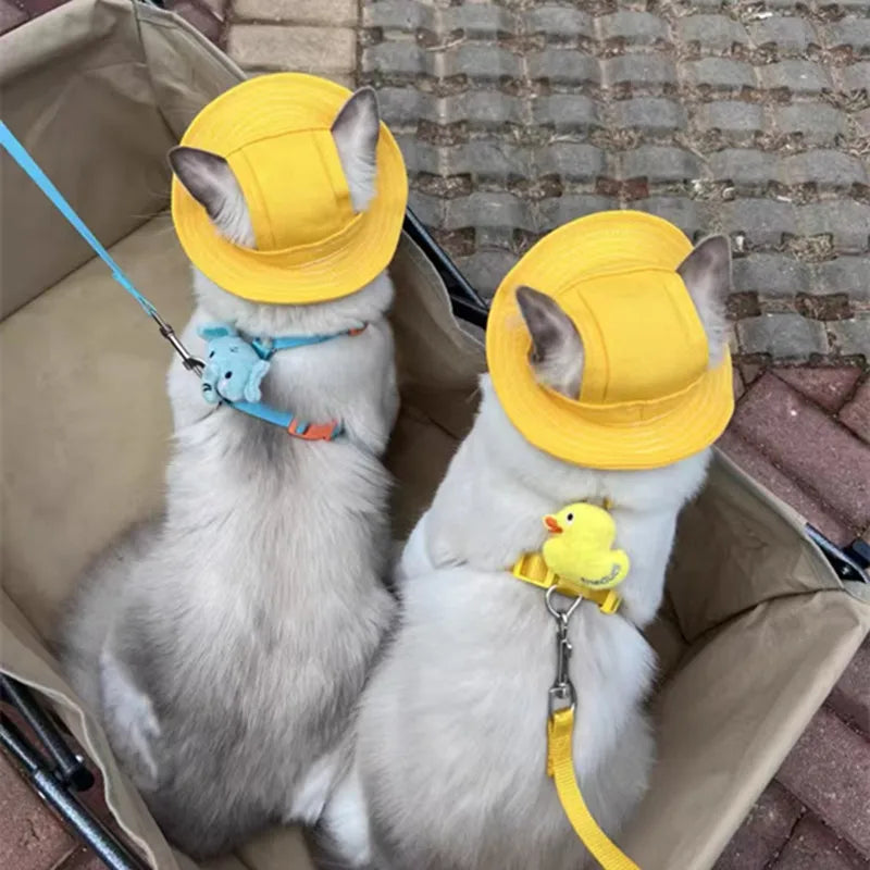 Cute Cat Dog Sun Hat with Ear Hole for Outdoor Fun - Smarsty