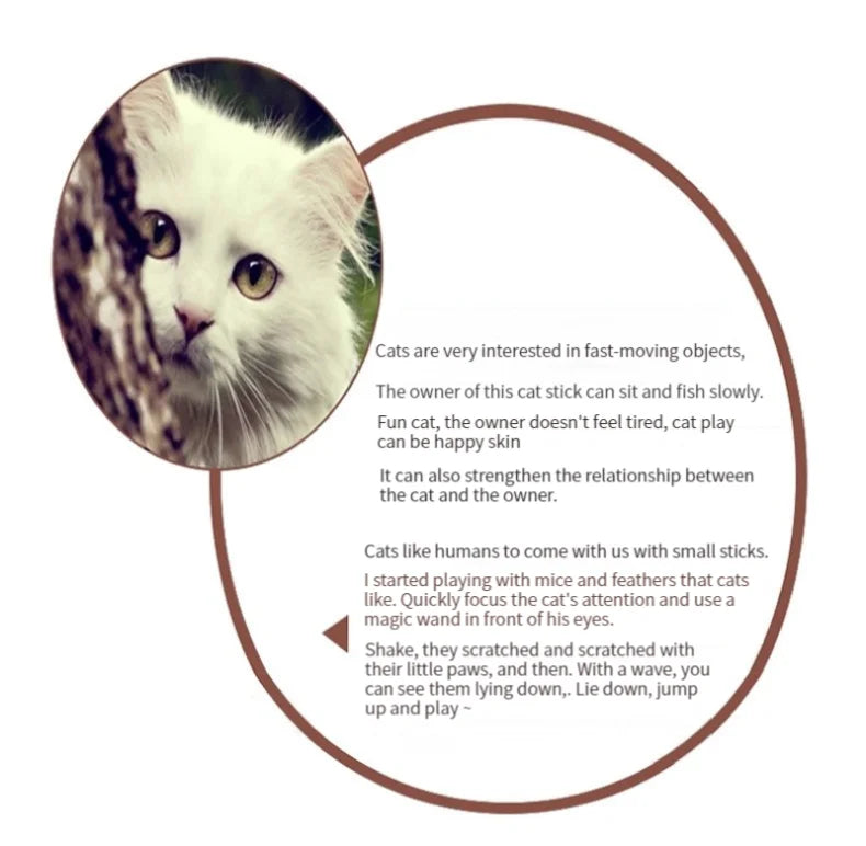 11pcs Replacement Cat Feather Toy Set Feather Replacement Head Retractable Cat Stick Cat Products - Smarsty